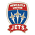 Logo 1